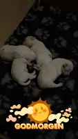 Malteser