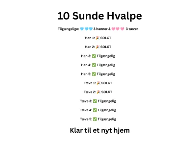 Billede 17