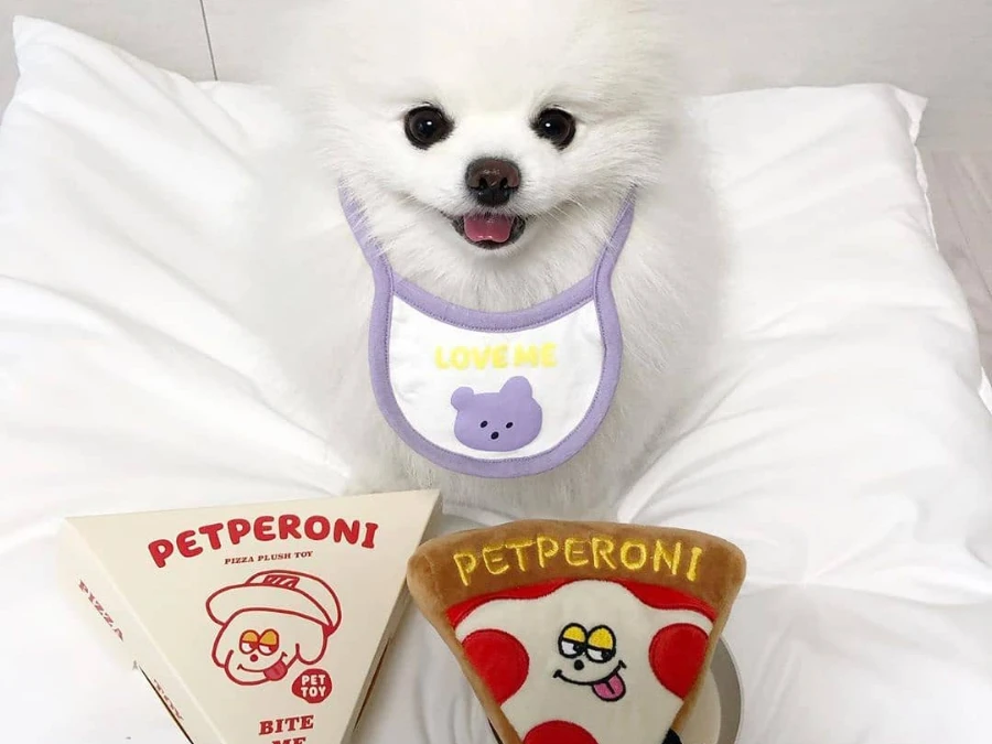 Pomeranian hvalpe